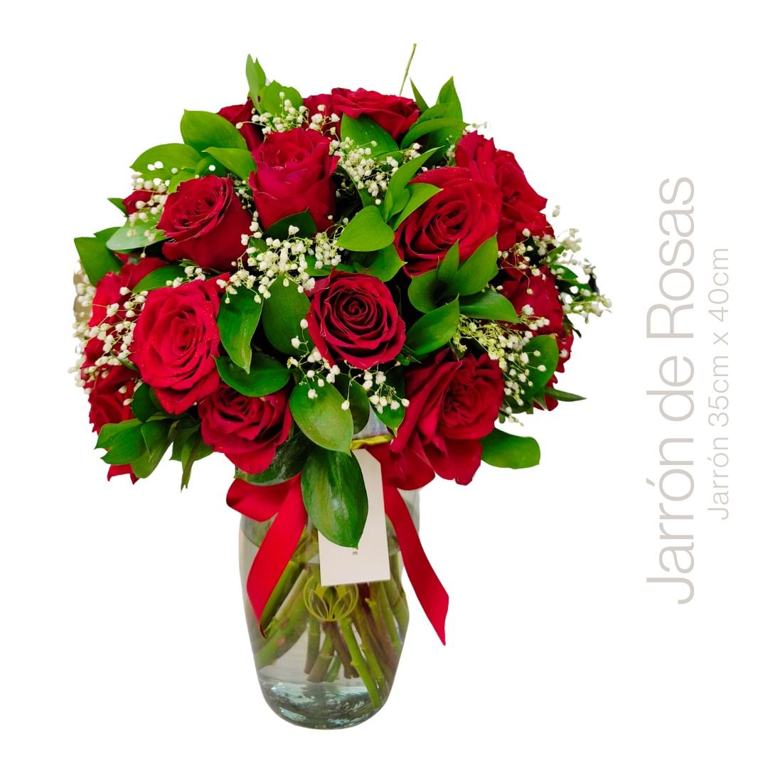 JARRON 24 ROSAS 