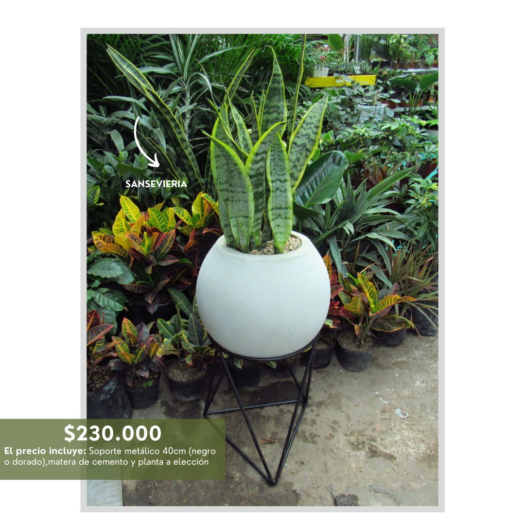 PROMO ARMA TU COMBO SOPORTES  