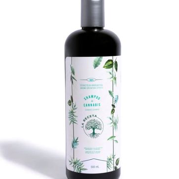 Imagen del producto Shampoo de Argán Para Cabello Seco 500ML