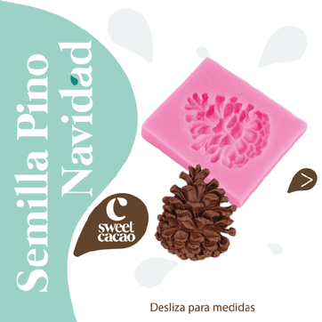 Semilla Pino - imagen 1