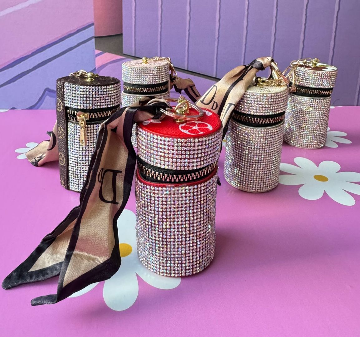 Monederos Dior 