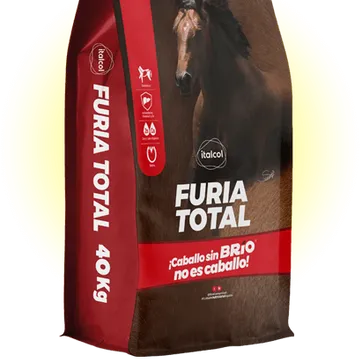 Imagen del producto ITALCOL FURIA TOTAL 40 Kilos