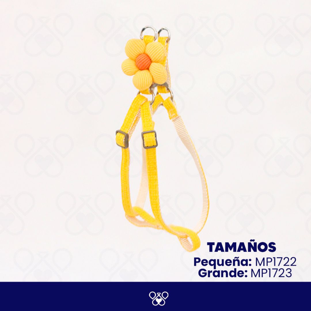 MP172-