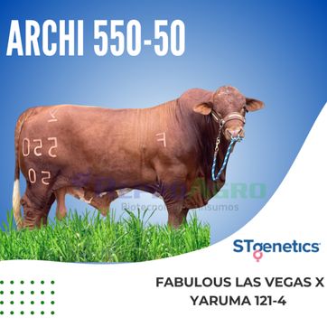 ARCHI 550-50 - imagen 1