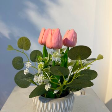 Imagen del producto BONSAI DE TULIPANES ROSADOS