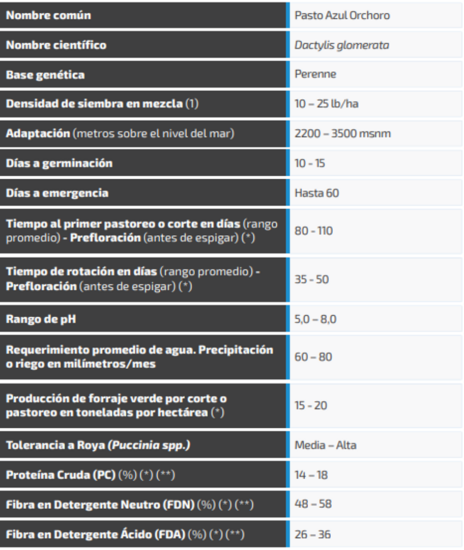 Pasto Azul Orchoro x Libra AGOTADO