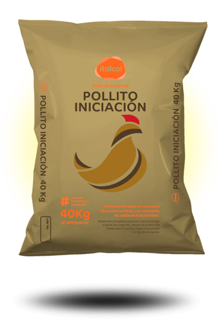 Super pollito iniciación dorado