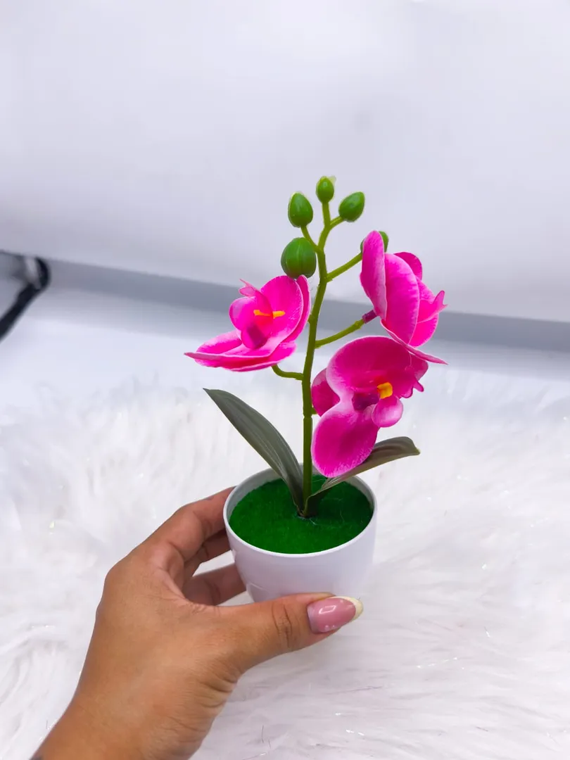 MATERO ORQUIDEA JM013
