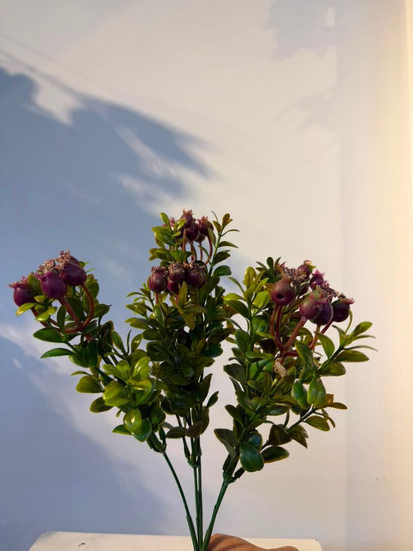 FOLLAJE DE PEPAS MORADO