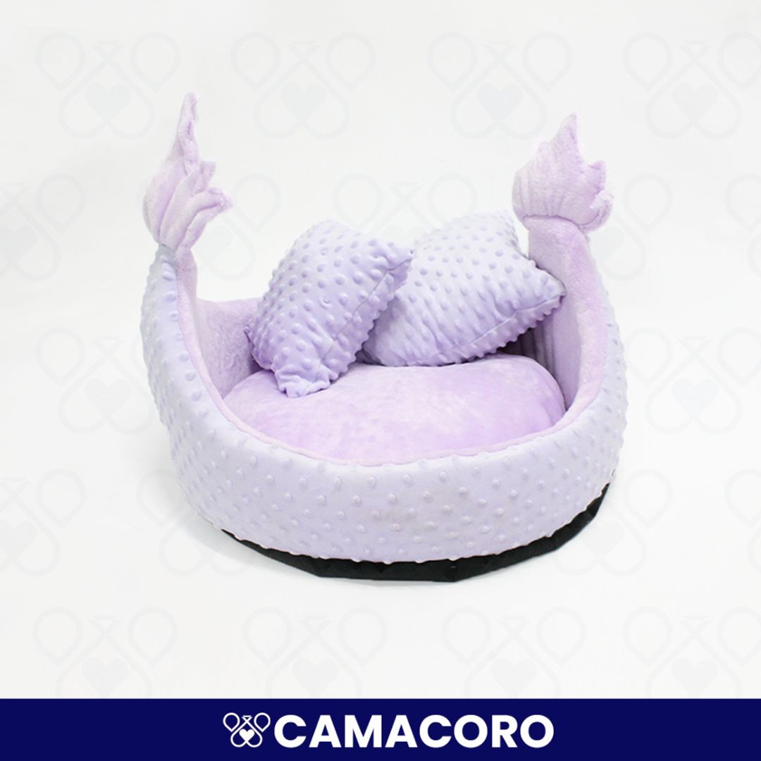 CAMACORO
