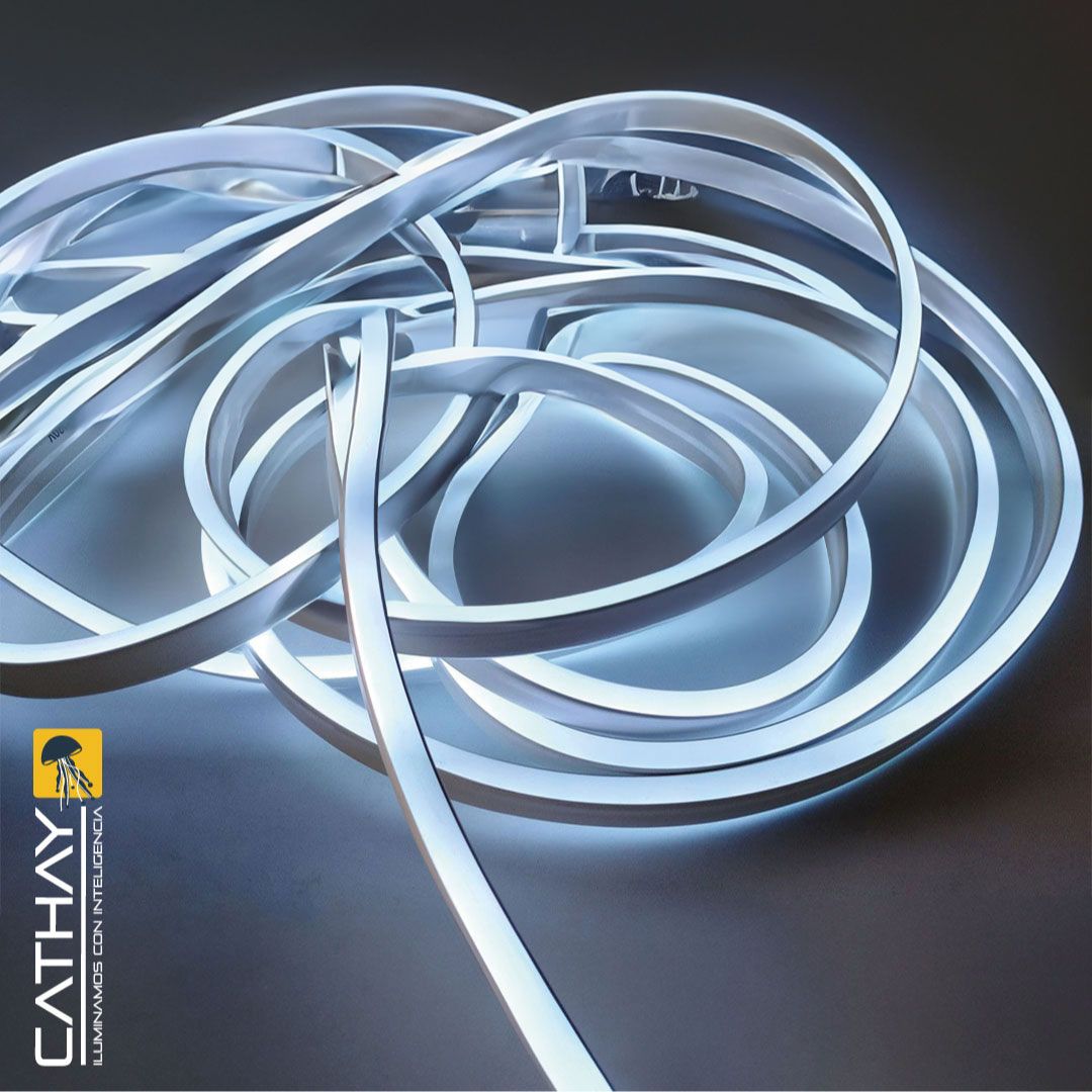 NEON DOBLE FAZ x METRO 11