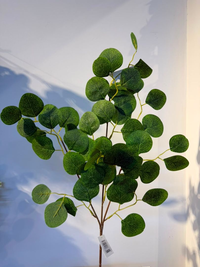 VARA DE EUCALIPTO VERDE X 3