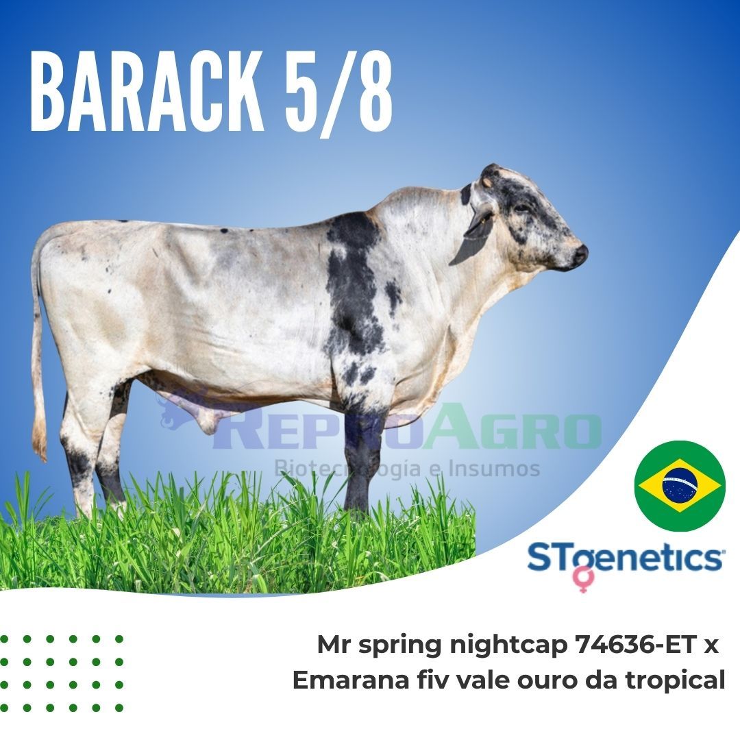 BARACK