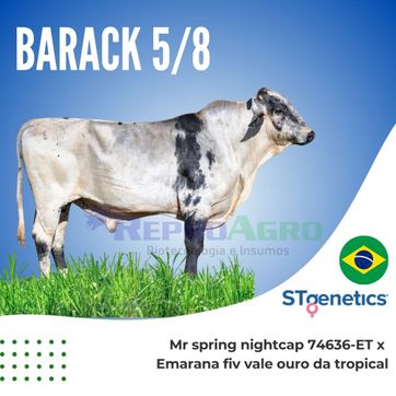BARACK - imagen 1