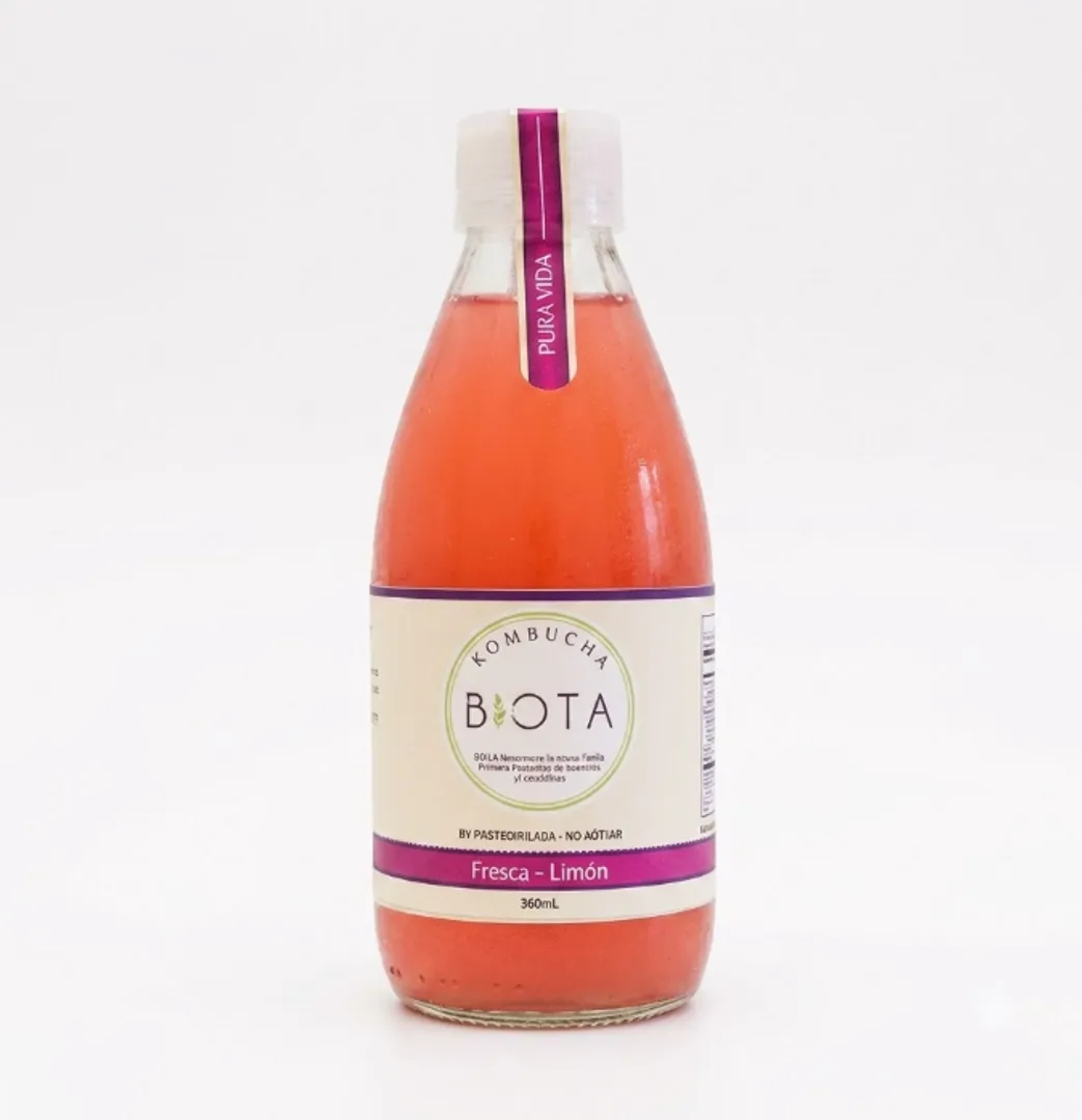 KOMBUCHA FRESA Y LIMÓN X 280ML BIOTA