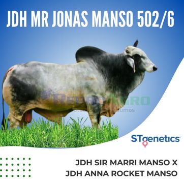 JDH MR JONAS MANSO 502/6 - imagen 1