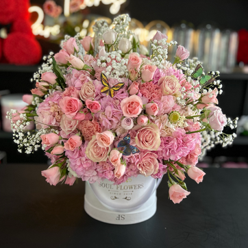 Imagen del producto BOX GARDEN MINI