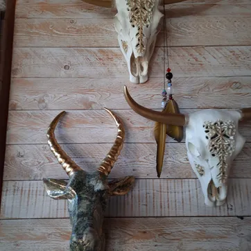 Cabeza Vaca Pluma - imagen 1