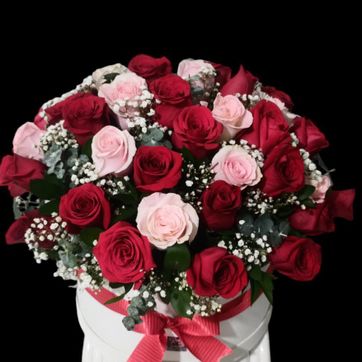 Imagen del producto Agradable combinación. 