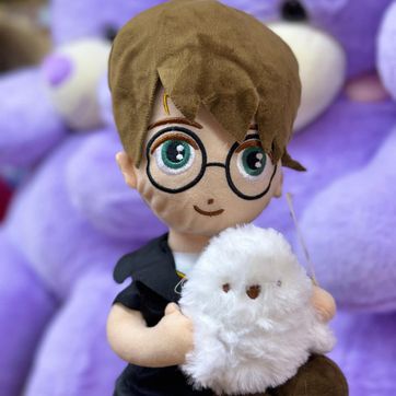 HARRY POTER 30c - imagen 1