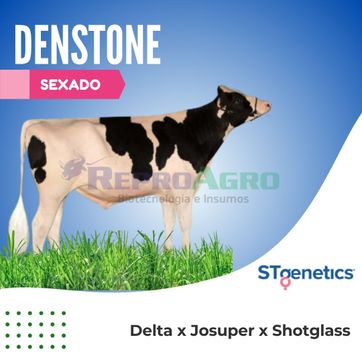 DENSTONE SEXADO - imagen 1