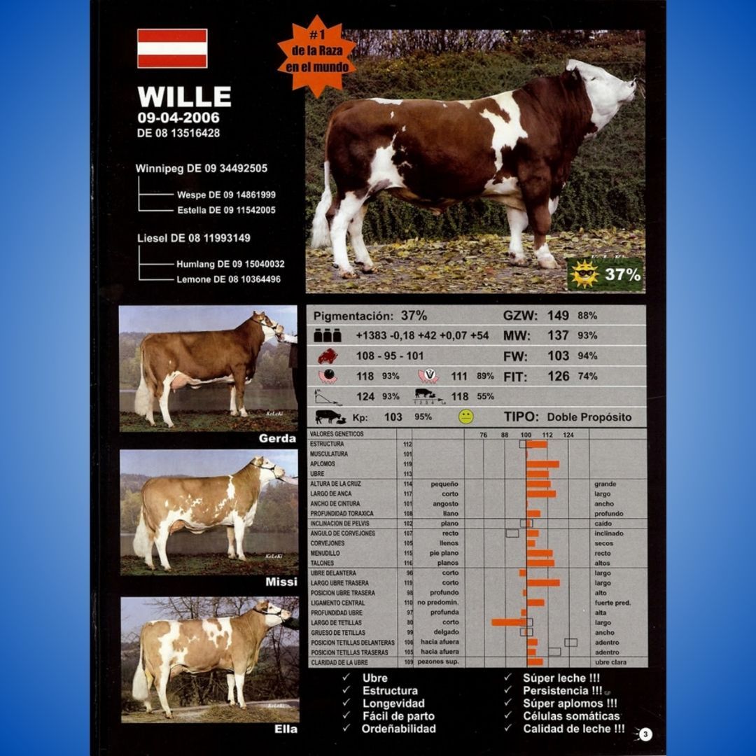WILLE WILLIAM 451