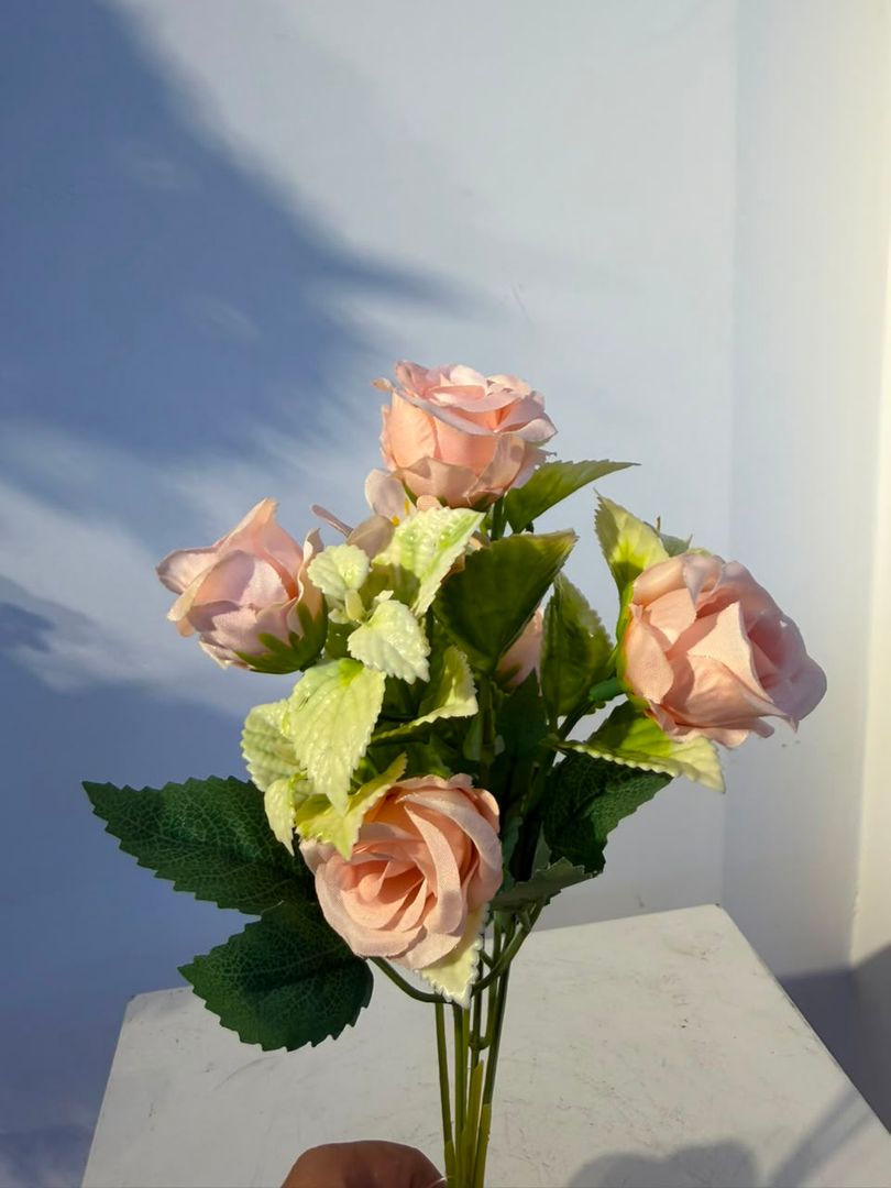 MINI ROSA X 5 CURUBA