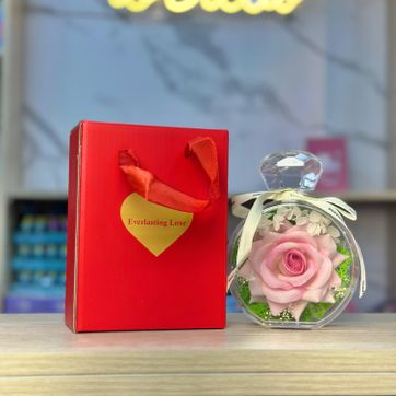 ROSA BOTELLA - imagen 1