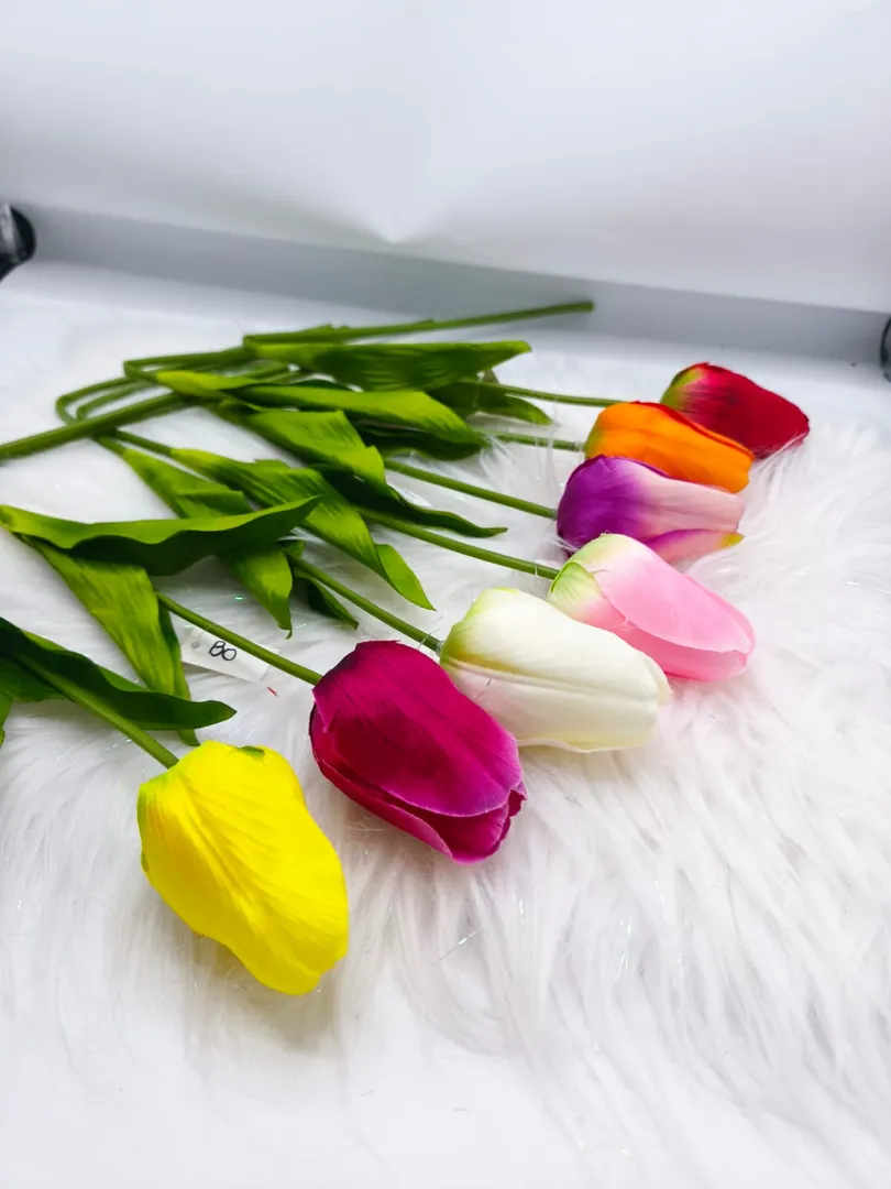 TULIPAN INDIVIDUAL PM537 
