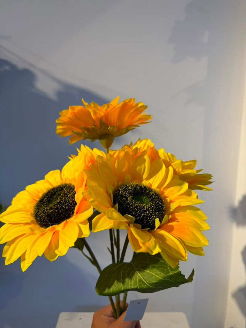 GIRASOL GRANDE X 5