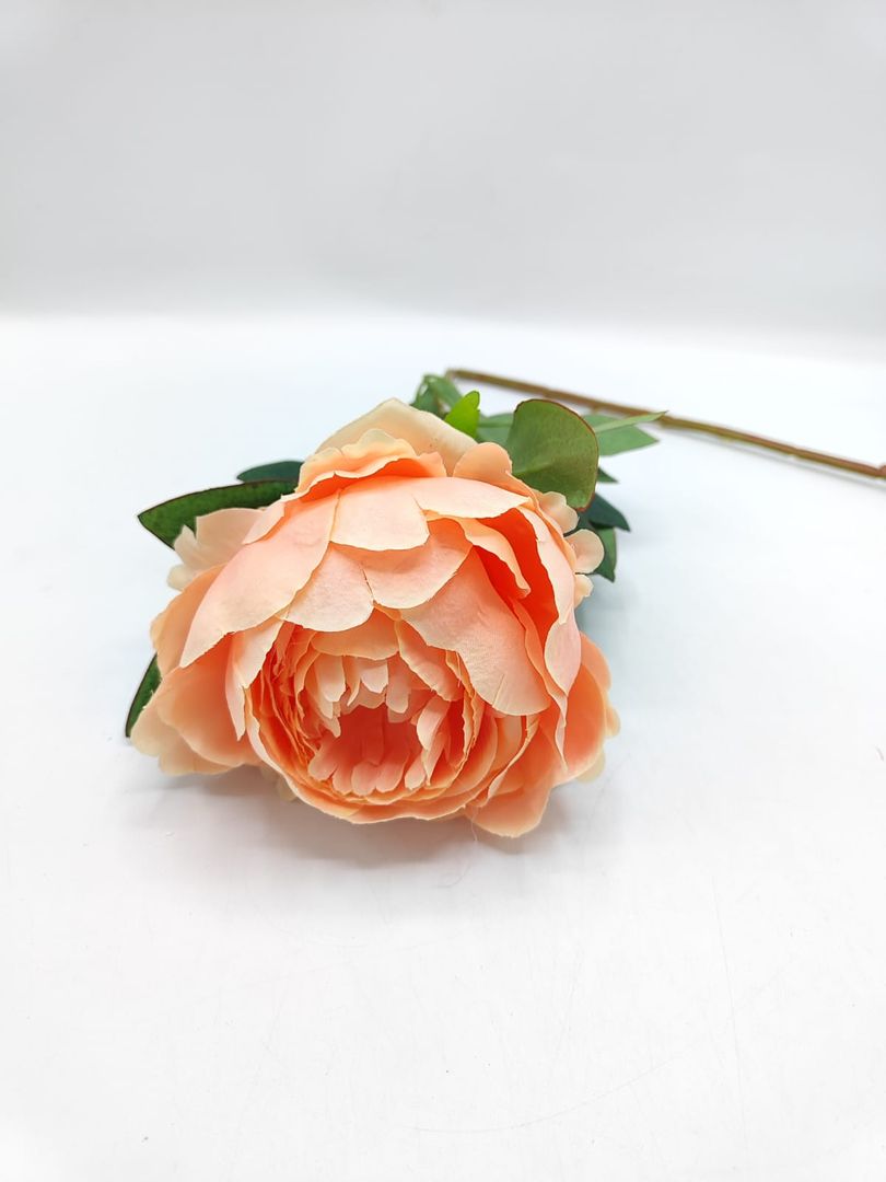 FLOR PEONIA INDIVIDUAL TG 680