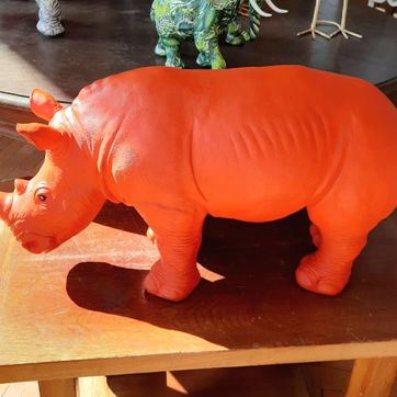 Rinoceronte  - imagen 1