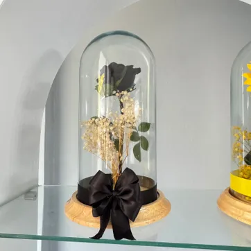 Imagen del producto ROSA NEGRA