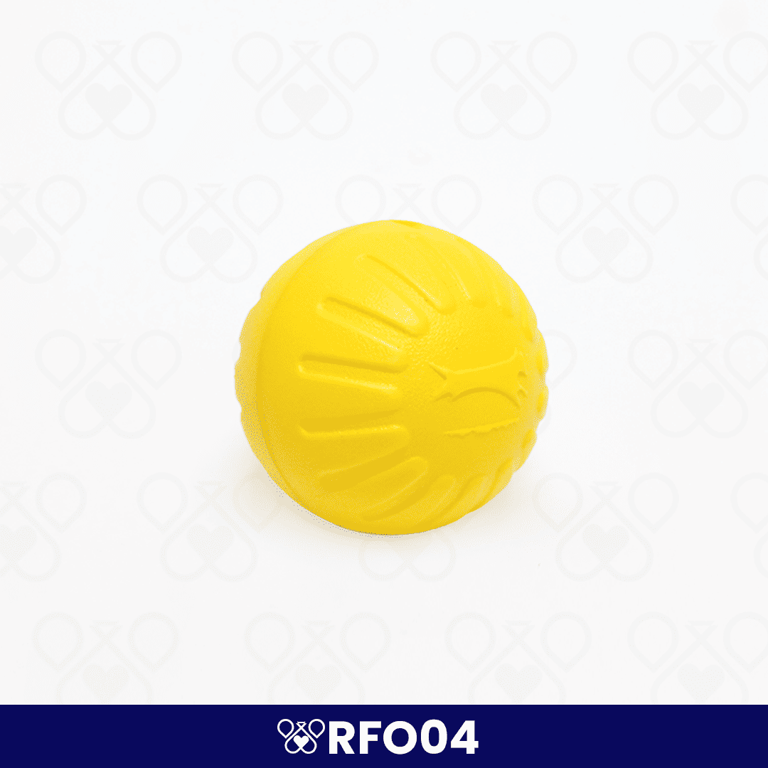 RFO04