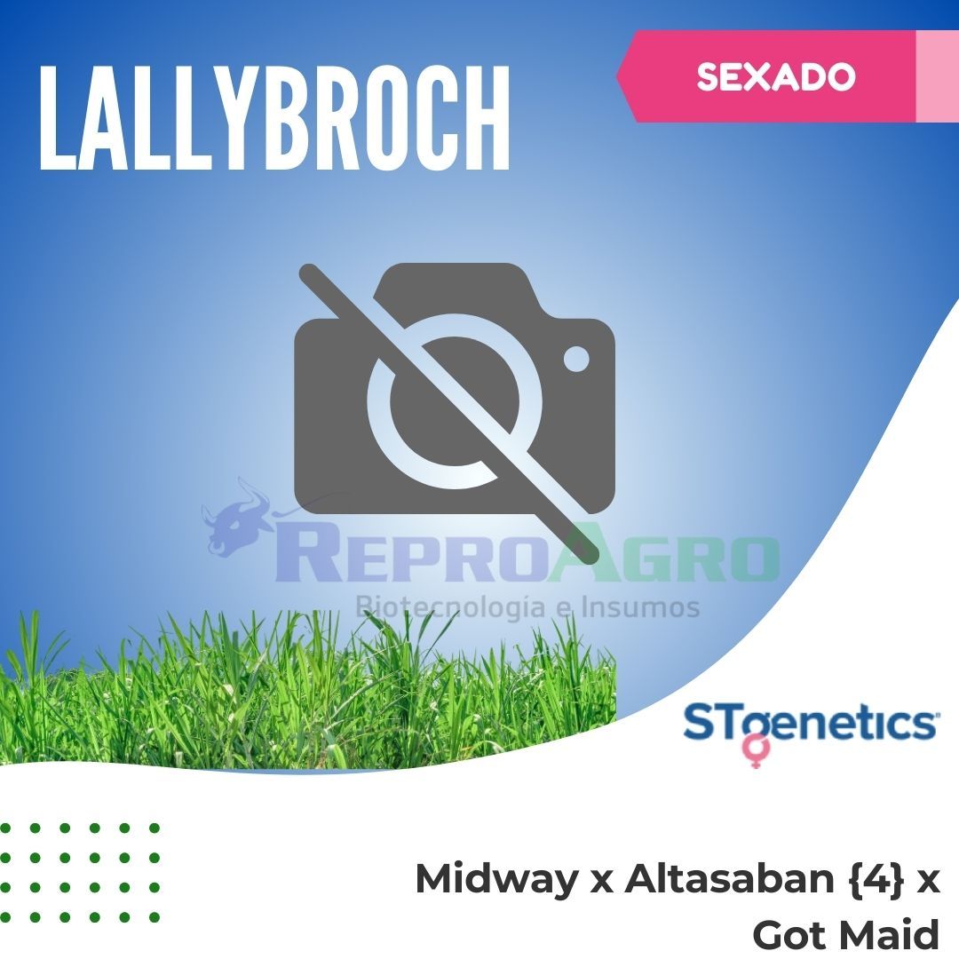 LALLYBROCH SEXADO