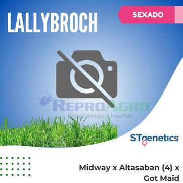 LALLYBROCH SEXADO - imagen 1