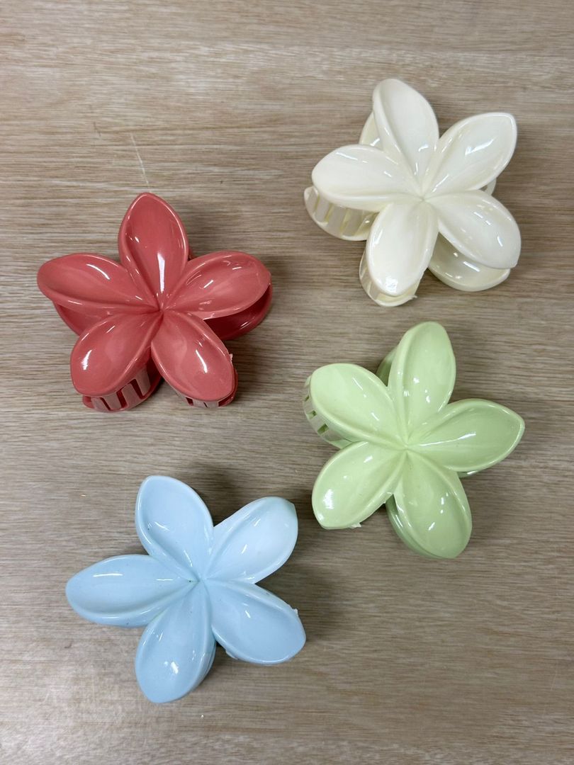 000 CAIMANES GRANDES FLOR