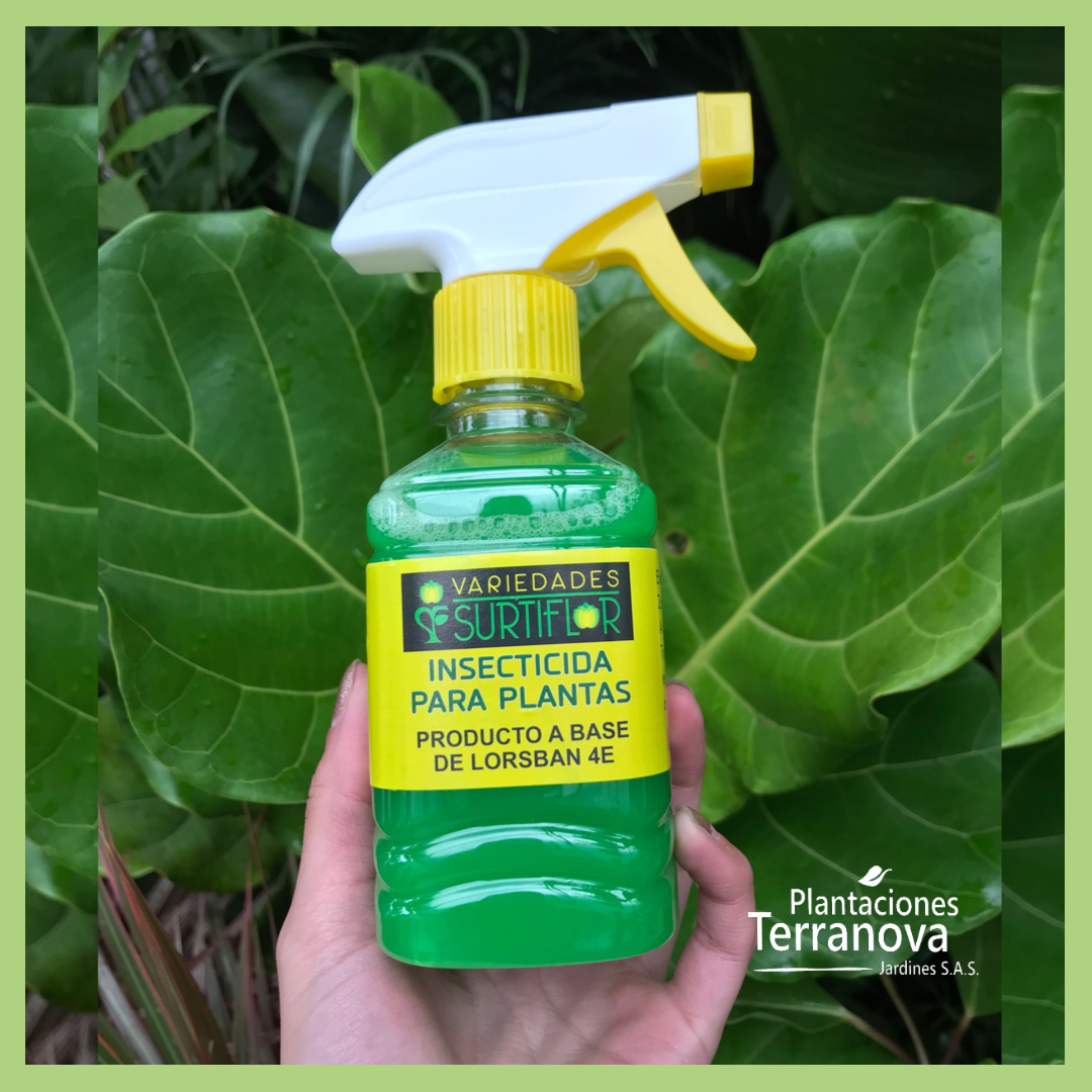 INSECTICIDA QUÍMICO 