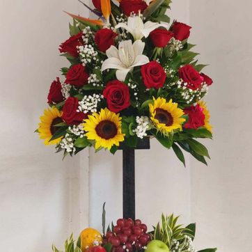 Imagen del producto .