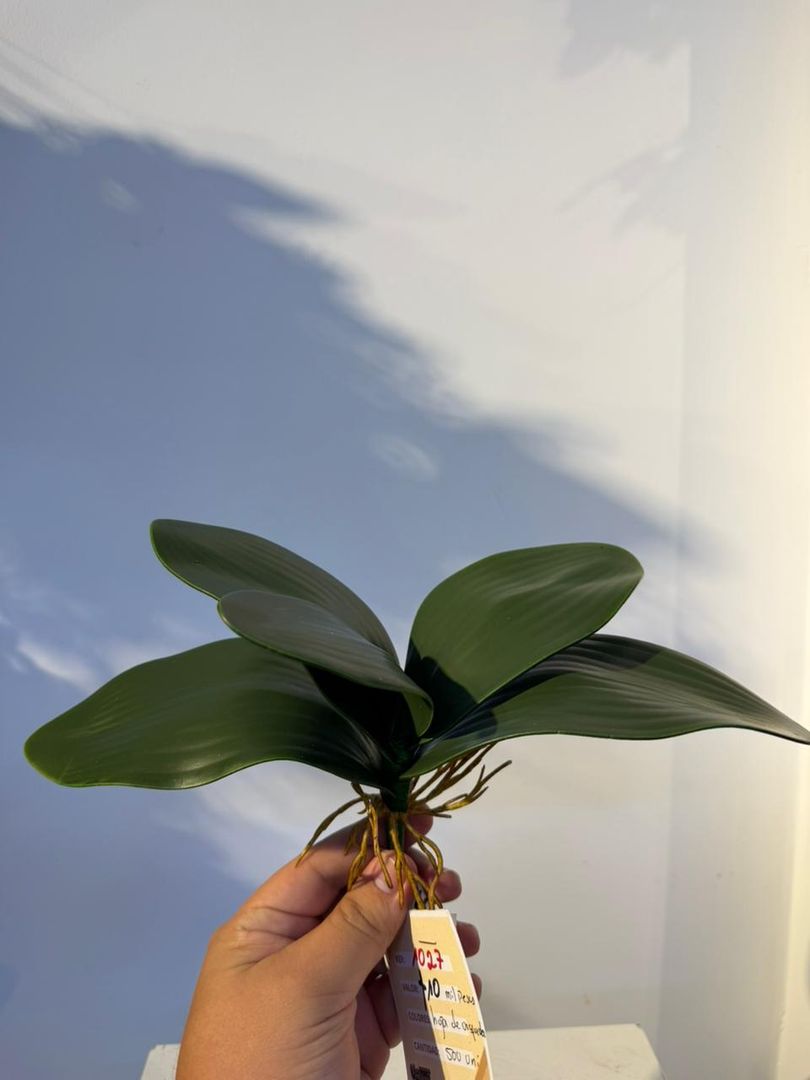 HOJA DE ORQUIDEA X 5 MEDIANA