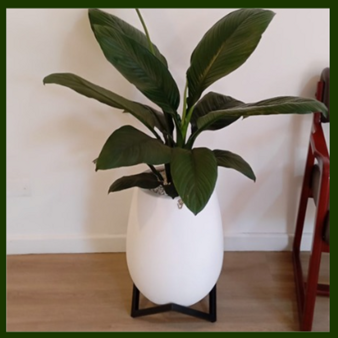 SOPORTE METALICO TRIANGULAR (Negro)