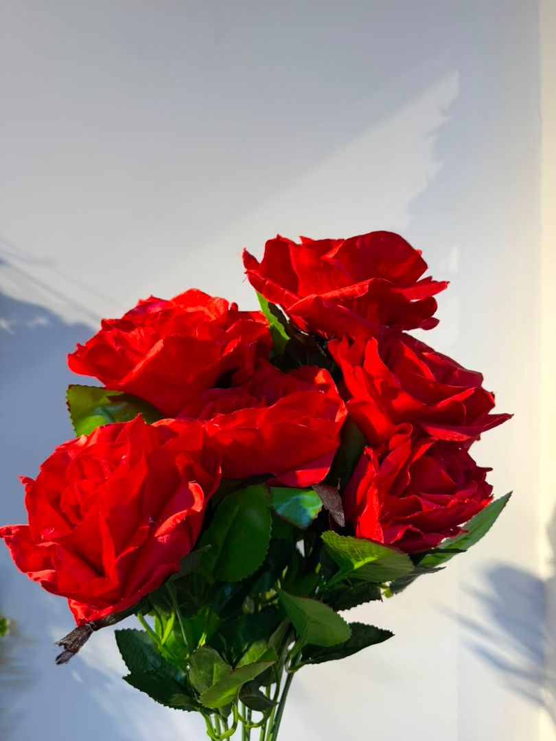 ROSA ROJA GRANDE X 9