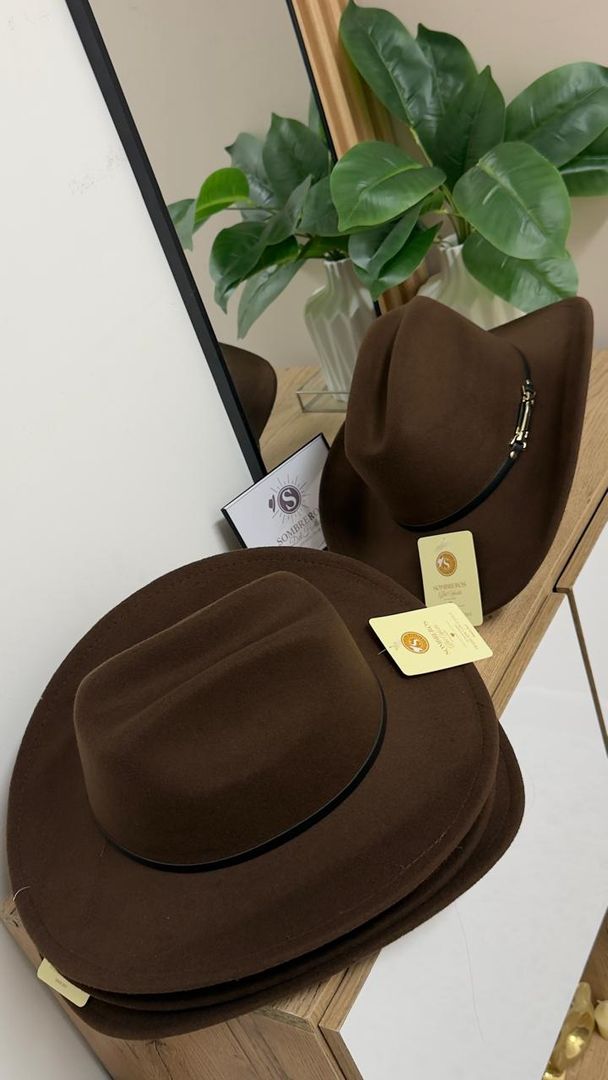 SOMBRERO TIPO FIELTRO 1