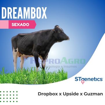 DREAMBOX SEXADO - imagen 1