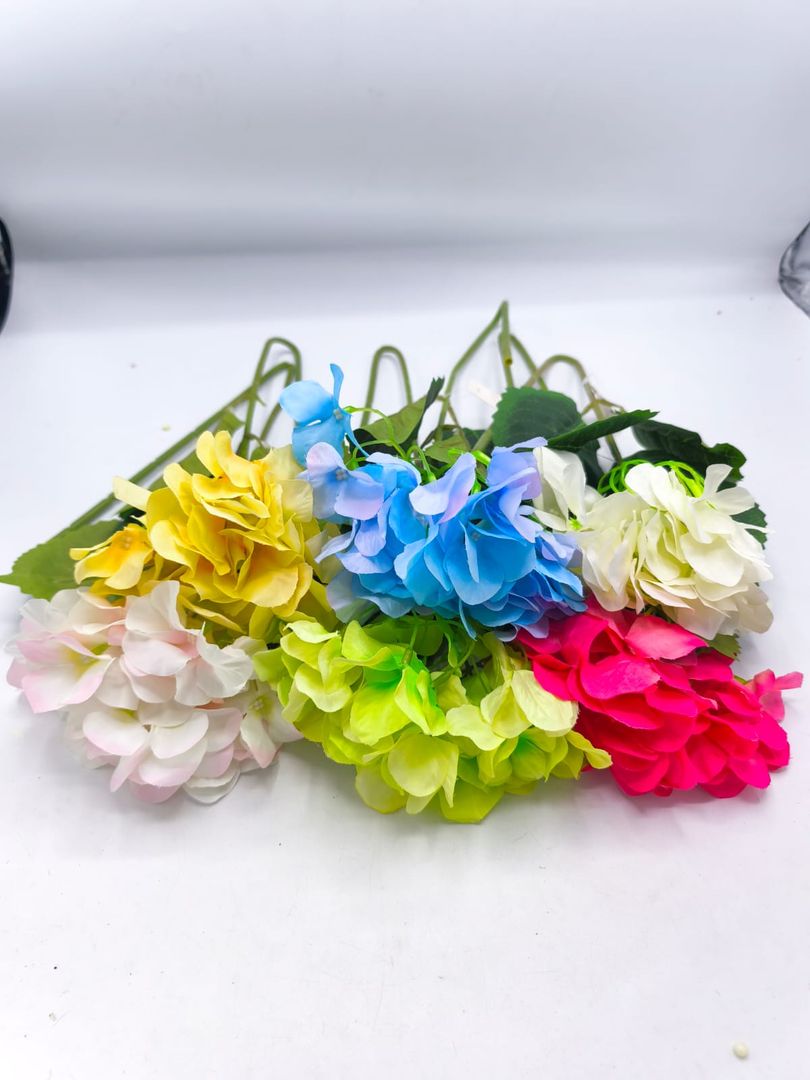 HORTENCIA INDIVIDUAL TG 664