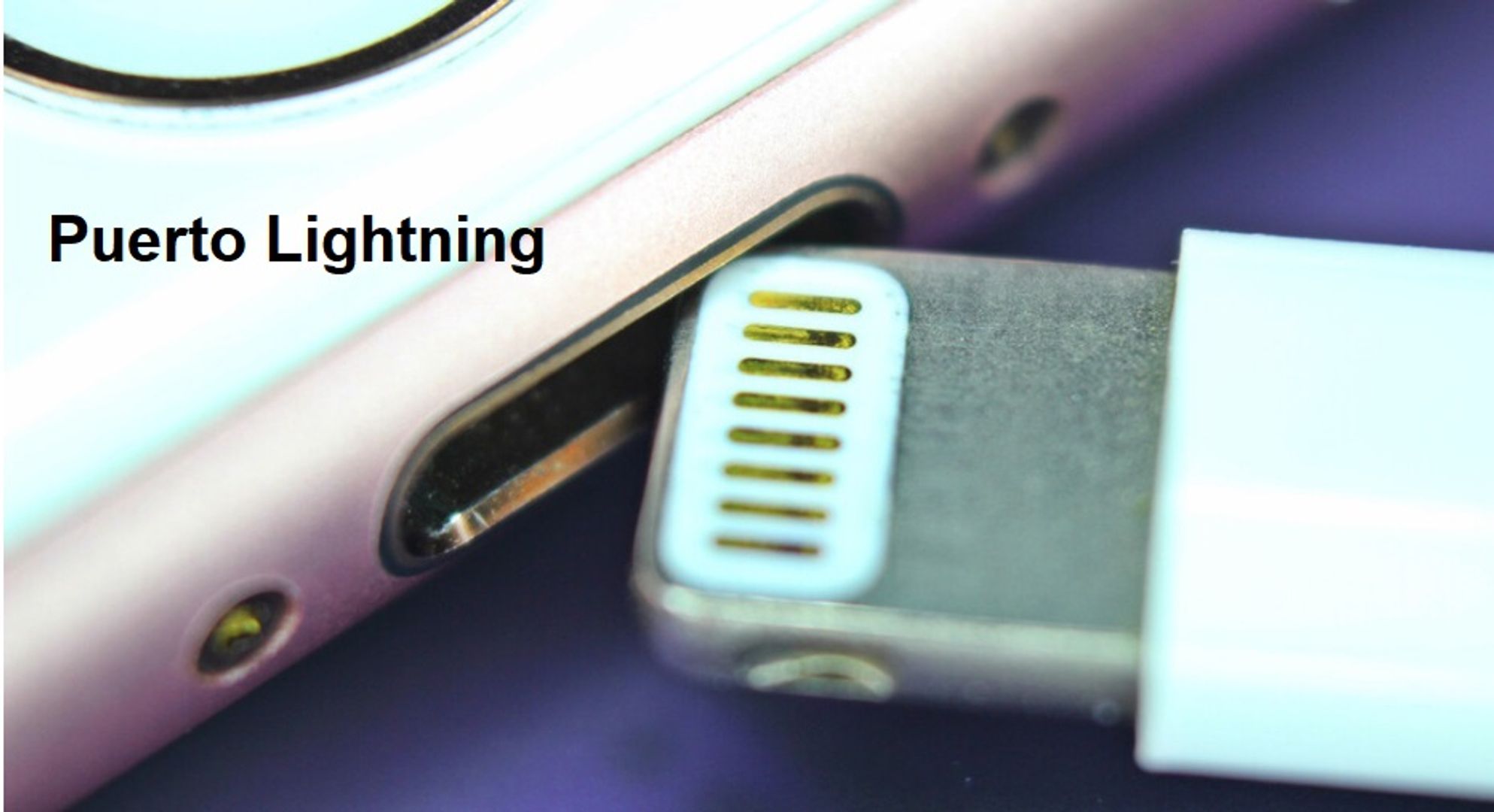 Cable Iphone Lightning Tipo C 2mts