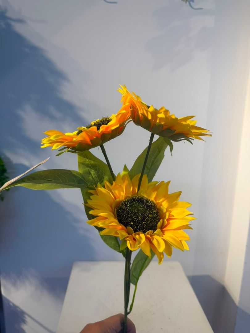 GIRASOL X 3 EN VARA
