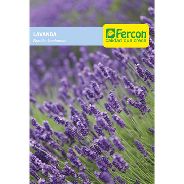 Imagen del producto LAVANDA