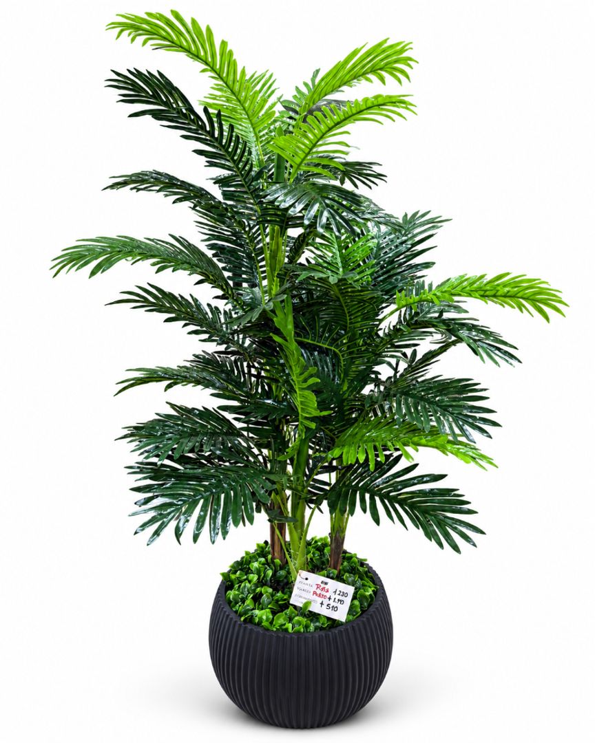 PALMA X 3 TALLOS 70 CM 90 CM 1.30 M