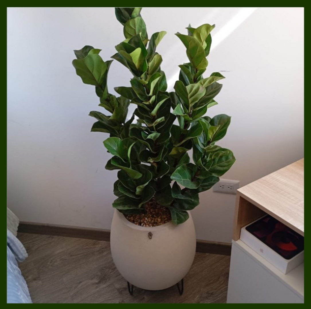 SOPORTE METALICO 10CM (Negro)